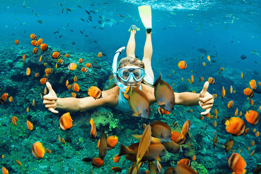 Snorkeling in Dubai - Dive into the Exquisite Underwater World
