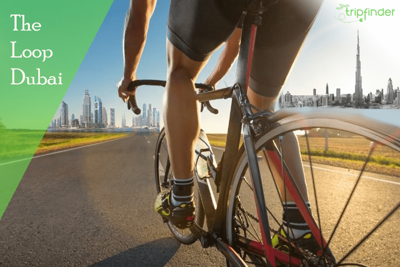 Designs for Dubai's The Loop, a 93kilometre cycling and health route