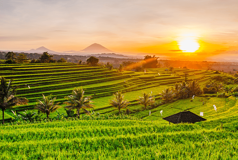 indonesia tour package from dubai