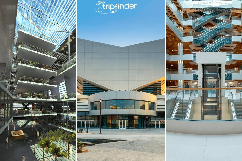 <strong>A Complete Guide to the Spectacular Mohammed bin Rashid Library</strong>