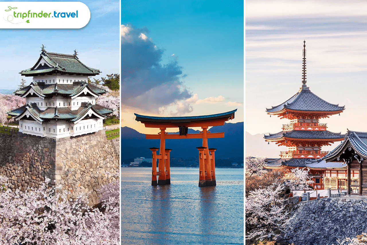tour packages from dubai to japan