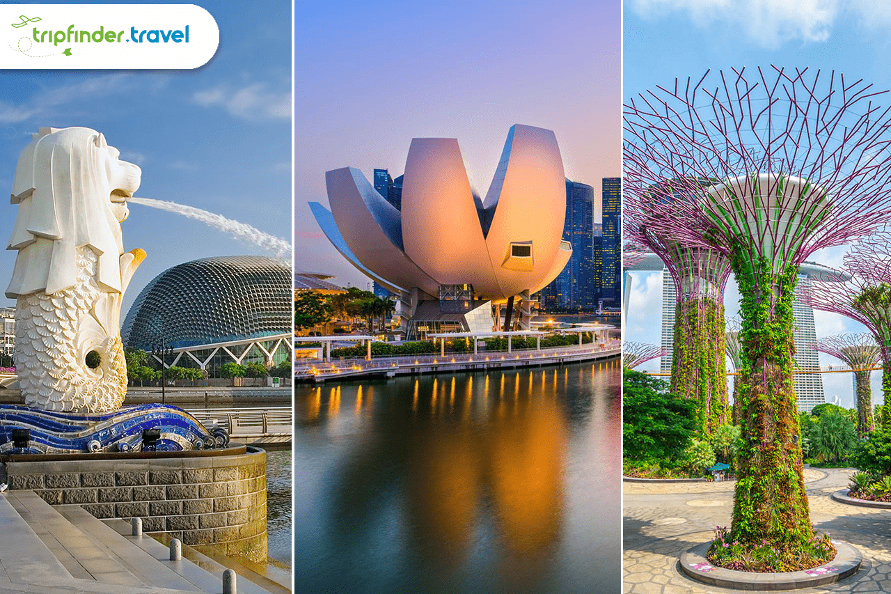 Holiday Packages to Singapore